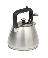 Mr. Coffee Armidale Large 2.5QT Brushed Stainless Steel Whistling Tea Kettle