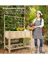 Givimo Raised Garden Bed Elevated Wooden Planter Box with Trellis
