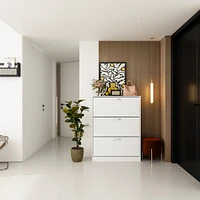 Homsee White Wooden Shoe Storage Cabinet,Fashion Shoes Cabinet with 3-Drawers