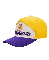 Pro Standard Men's Gold/Purple Los Angeles Lakers Pinch Chevron Adjustable Hat