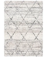 Safavieh Fontana Shag FNT886F 9'x12' Area Rug