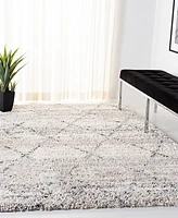 Safavieh Fontana Shag FNT886F 3'x5' Area Rug