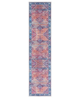 Safavieh Serapi Washable SEP376P 2'x8' Runner Area Rug