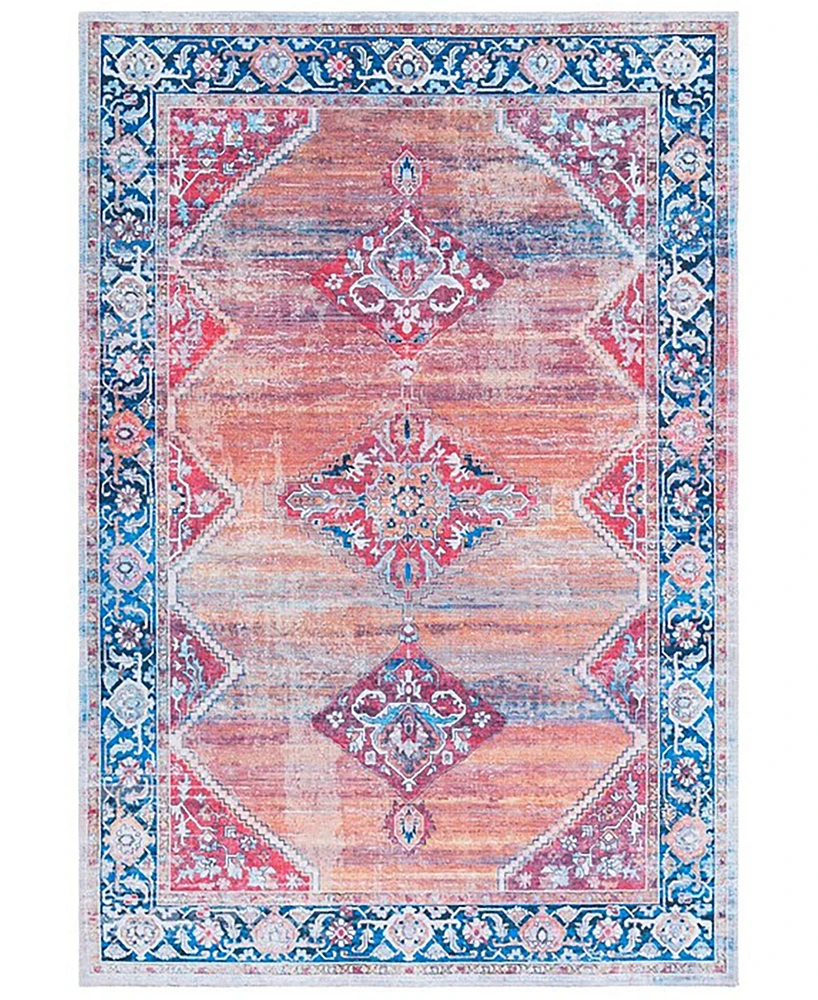 Safavieh Serapi Washable SEP376P 6'7"x9' Area Rug