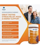 Trace Minerals Ashwagandha Gummies | Natural Stress Relief Gummies with Vitamin D | Natural Mood & Sleep Support for Men & Women | Immunity & Energy S