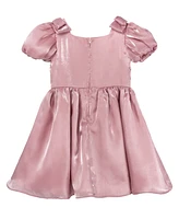 Rare Editions Toddler & Little Girls Shimmer Organza Social Dress