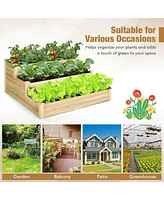 3-Tier Raised Garden Bed Wood Planter Kit for Flower Vegetable Herb