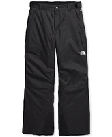 The North Face Big Boys Freedom Insulated Pants