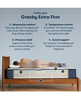 Serta iComfortPro Chelsea 12" Latex Foam Medium Mattress