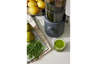 Hurom H310 Personal Easy Clean Slow Juicer