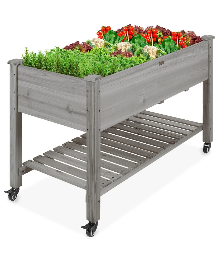 Best Choice Products Raised Garden Bed 48x23x32in Wood Mobile Elevated Planter w/ Wheel Locks, Shelf, Liner