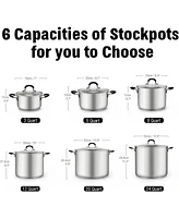 Cook N Home 12 Quart Stainless Steel Professional Stockpot Sauce Pot Induction Pot With Lid