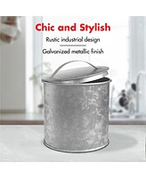 Amici Home Newport Galvanized Metal Canister