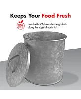 Amici Home Newport Galvanized Metal Canister - X-Large