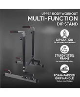 BalanceFrom Fitness BalanceFrom Multi-Function Home Gym Exercise Dip Stand, 500lb Capacity