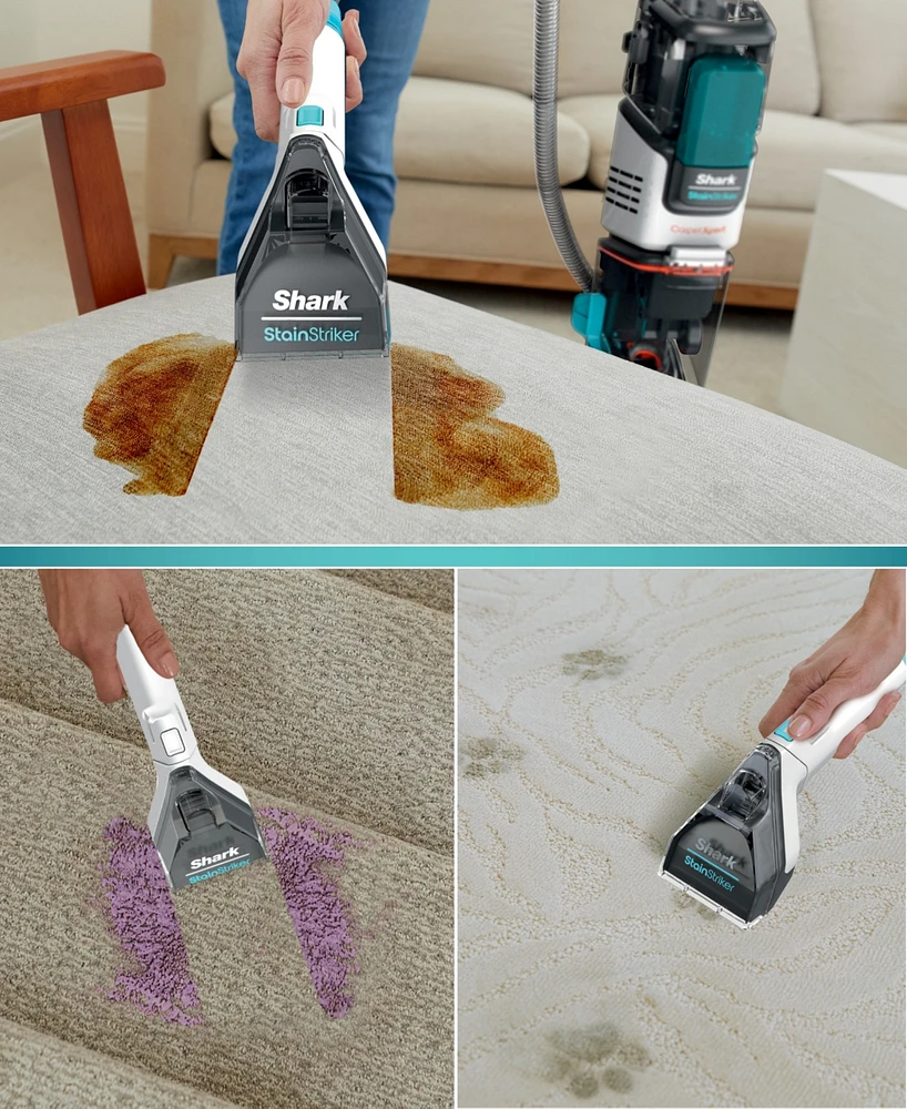 Shark CarpetXpert with Stainstriker pet deep carpet cleaner, builtin