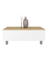 Depot E-shop Aran Lift Top Coffee Table, Storage Compartment
