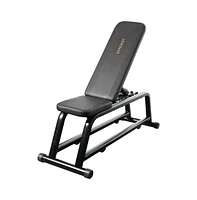 Squatz Durable Flat Weight Bench for Multifunctional Apollo Board Device