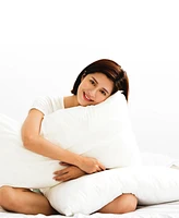 Cheer Collection Soft and Plush Bed Pillow Insert, -Pack