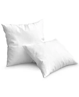 Cheer Collection 2-Pack Pillow Insert