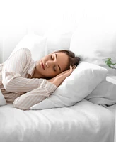Cheer Collection 95% Feather/5% Down 2-Pack Pillow Inserts