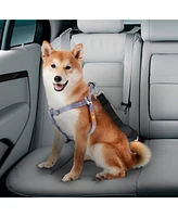 Co-Pilot Dog Seat Belt, Car Harness for Dogs, Adjustable Safety Leash Pet Seatbelt, Durable, Made of Nylon