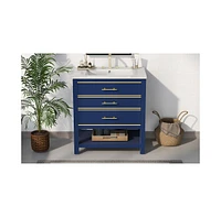 Modern 30inch Navy Blue/White Bathroom Vanity Cabinet Combo with OpenStorge, Two Drawers