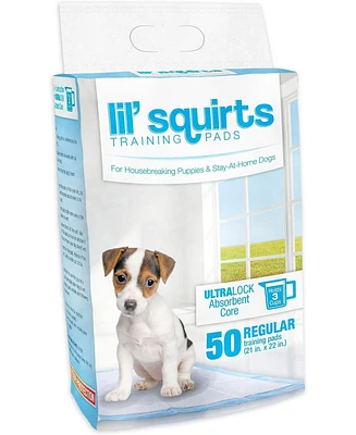 Ruffin' It Lil Squirts: Training Pads