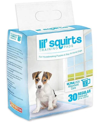 Ruffin' It Lil Squirts: Training Pads