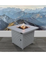 Mondawe 25" H x 30" W Steel Propane/Natural Gas Fire Pit Table