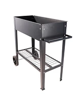 Aveyas Mobile Metal Raised Garden Bed Cart with Legs