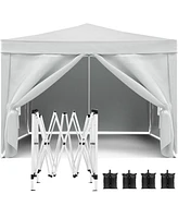 10'x10' Folding Canopy with 4 Removable Sidewalls Outdoor Event Shelter Upf 50+ Gazebo Portable Tents for Parties Beach Camping Wedding Ez Pop Up Cano