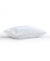 Claritin Ultimate Allergen Barrier Medium Density Pillow