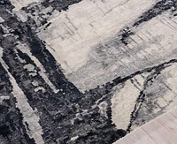 Exquisite Rugs Floor Art 5707 4'x6' Area Rug