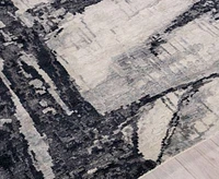 Exquisite Rugs Floor Art 5707 Rug Collection