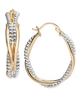 And Now This Two-Tone Oval Hoop Earring