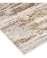 Feizy Parker 3705F 7'9"x10' Area Rug