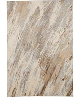 Feizy Parker 3704F 2'1"x3' Area Rug