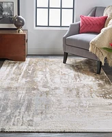 Feizy Parker 3709F 3'9"x5'7" Area Rug