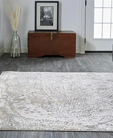 Feizy Parker 3702F 3'9"x5'7" Area Rug