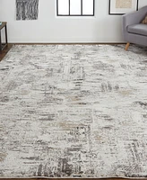 Feizy Vancouver 39FHF 8'x10' Area Rug