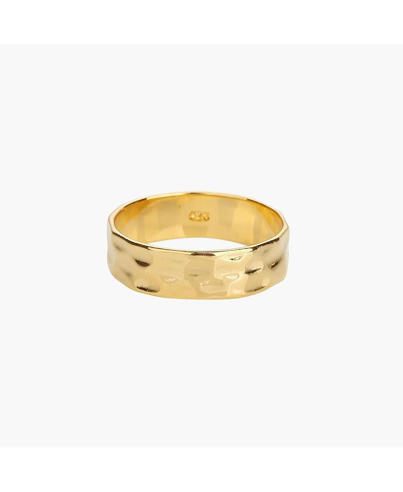 Bearfruit Jewelry Sterling Silver 18k Gold Plated Fiona Thin Hammered Band Ring Size 6