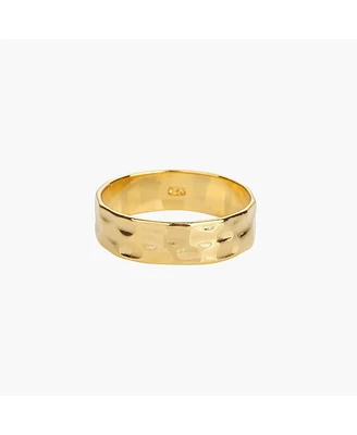 Bearfruit Jewelry Sterling Silver 18k Gold Plated Fiona Thin Hammered Band Ring Size 6