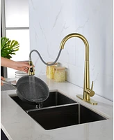 Streamdale Furniture Gold Kitchen Faucets With Pull Down Sprayer, Kitchen Sink Faucet With Pull Out Sprayer