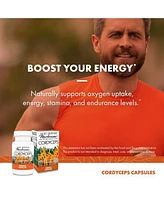 Host Defense Cordyceps Capsules - Immune & Energy Support Supplement - Kidney Health Supplement with Cordyceps