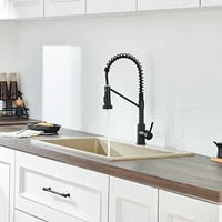 Flynama Single Hole Single-Handle Pull-Down Sprayer Kitchen Faucet In Matte Black