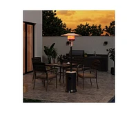Pamapic 48000 Btu Brown Propane Patio Heater with Cover