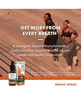 Host Defense Breathe Extract