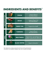 Host Defense MycoBotanicals Liver Capsules - Liver Health Supplement with Milk Thistle & Turmeric Root