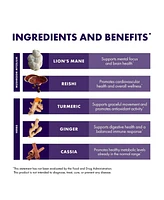 Host Defense MycoBotanicals Brain & Body Powder - Digestive & Immune Support Supplement with Lion's Mane & Reishi Mushroom